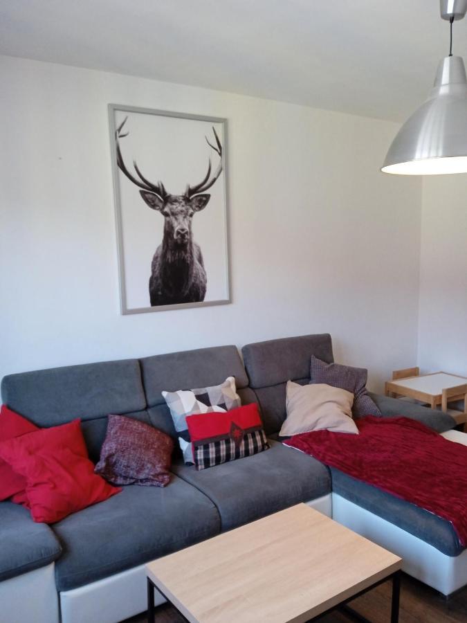 Ferienwohnung La Cahutte Du Tisseur, Hyper Centre Gérardmer Exterior foto